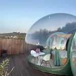 B&B Ulivi