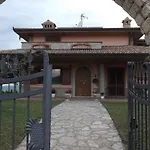 Ulivi Filiano