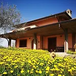 B&B Ulivi 4*