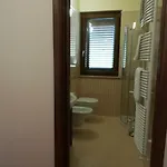 B&B Ulivi Filiano