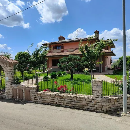 Ulivi 4*