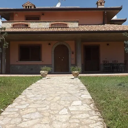 Ulivi