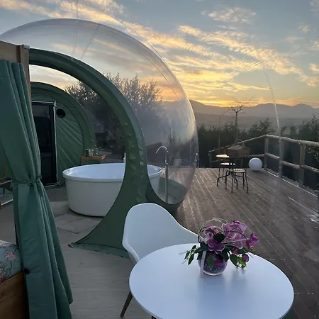 Bed & Breakfast Ulivi 4*