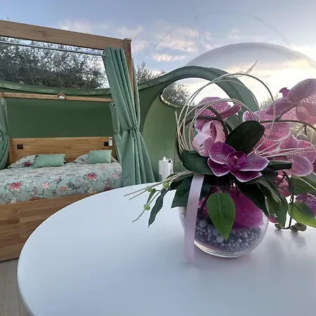 Bed & Breakfast Ulivi Filiano