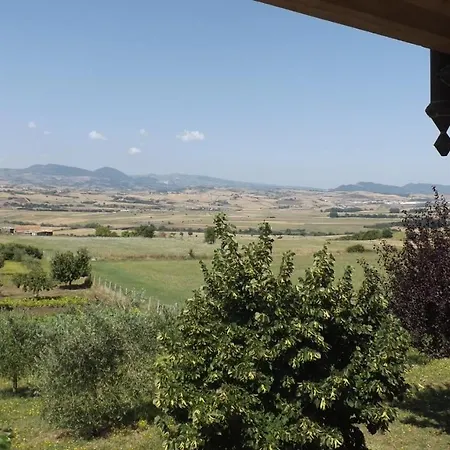 Ulivi Bed & Breakfast Filiano