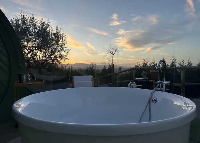 Bed & Breakfast Ulivi Filiano