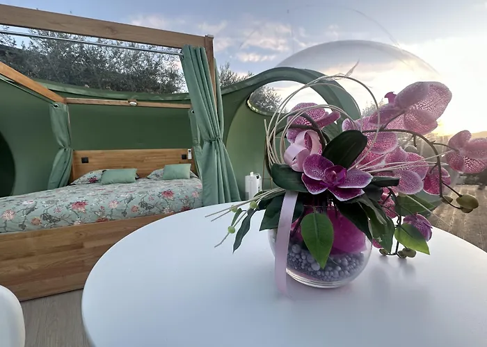 Bed & Breakfast Ulivi Filiano